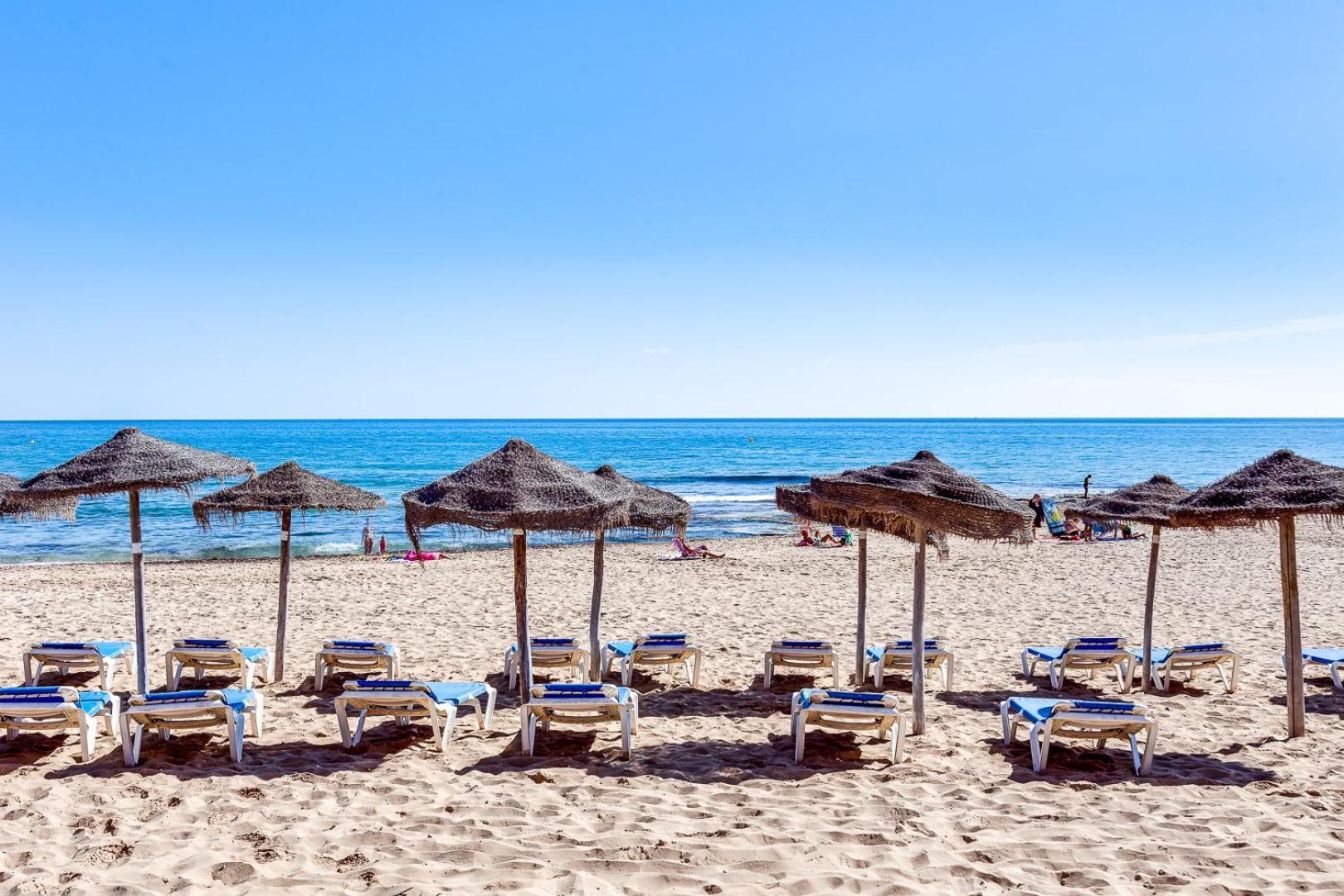 Estudio Jardin Del Mar 또레비에하 외부 사진